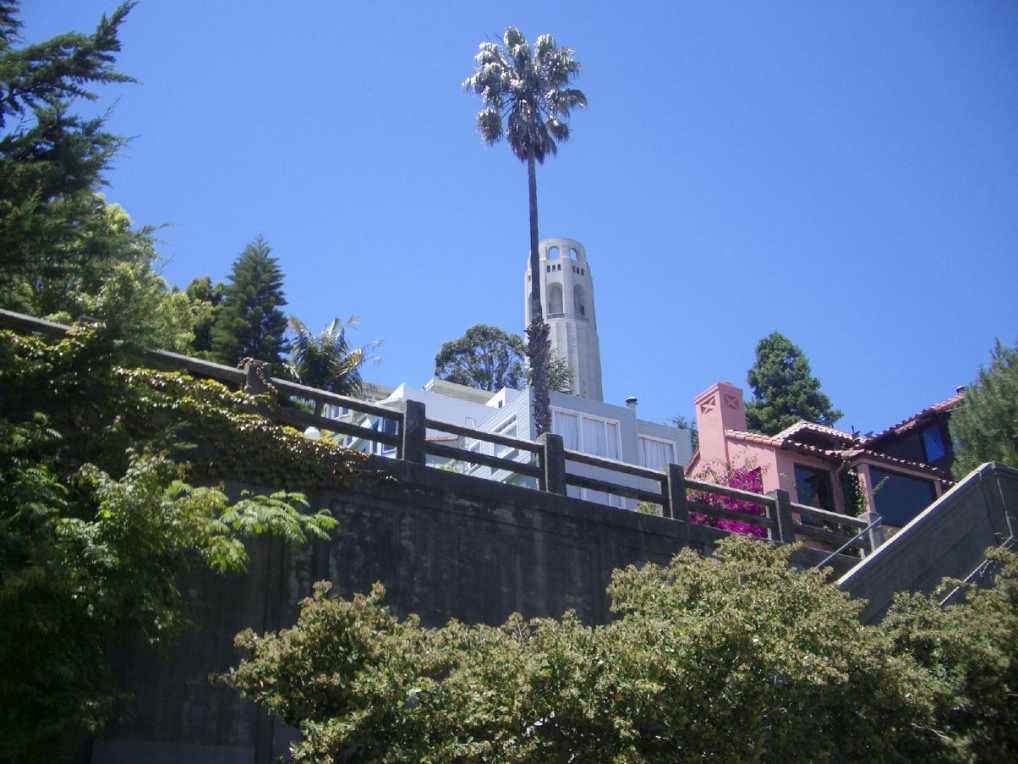 Blick zum Coit Tower